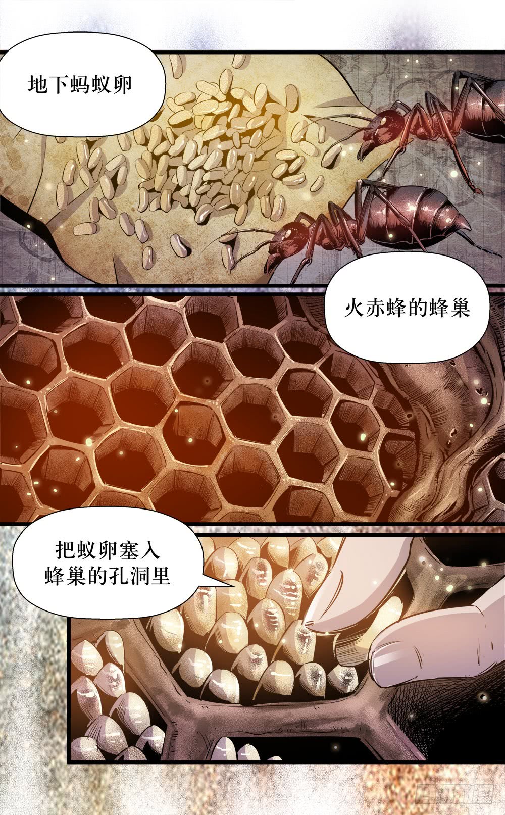 《庖厨天下》第40话 3 第6页