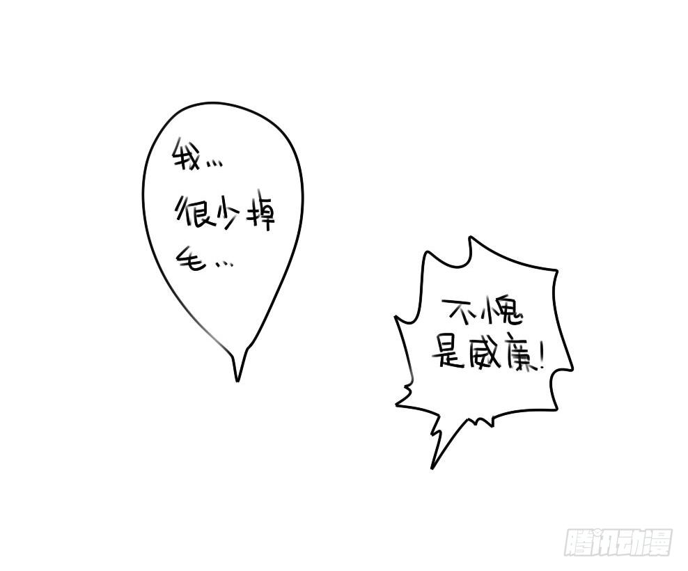 《破耳兔poruby》14、威廉喜欢我送你的礼物吗 第11页