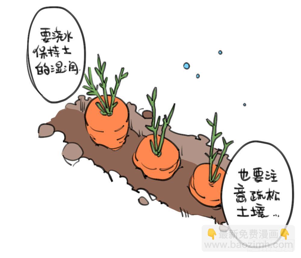 《破耳兔poruby》24、哇…本兔真是太惨了…太惨了 第5页