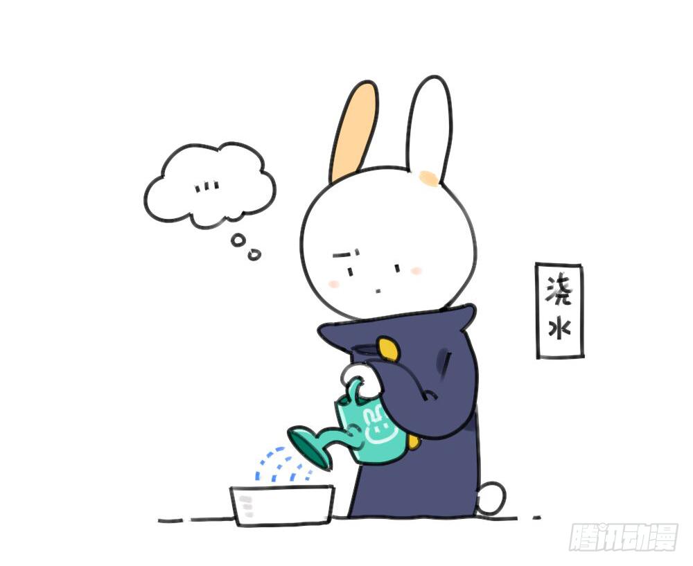 《破耳兔poruby》29、破耳，不按套路出牌的兔子 第1页