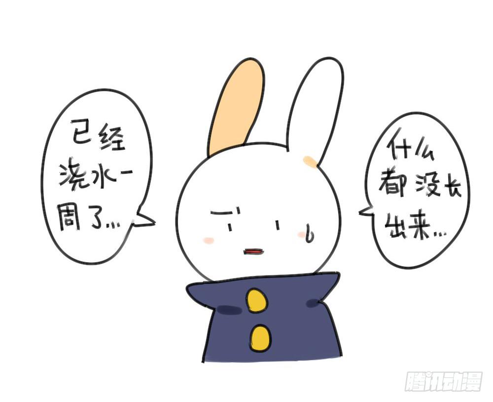 《破耳兔poruby》29、破耳，不按套路出牌的兔子 第3页