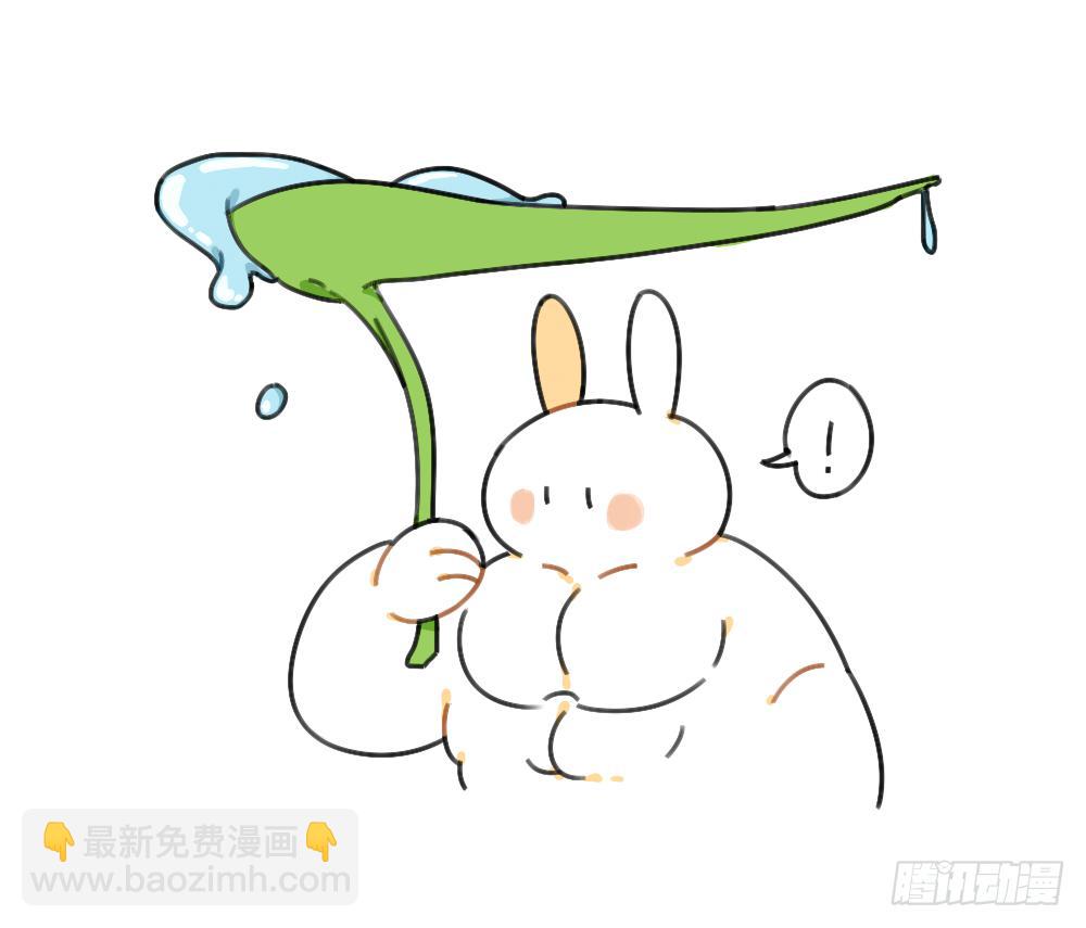 《破耳兔poruby》39、雨天不怕，我有花花，花花高 第4页