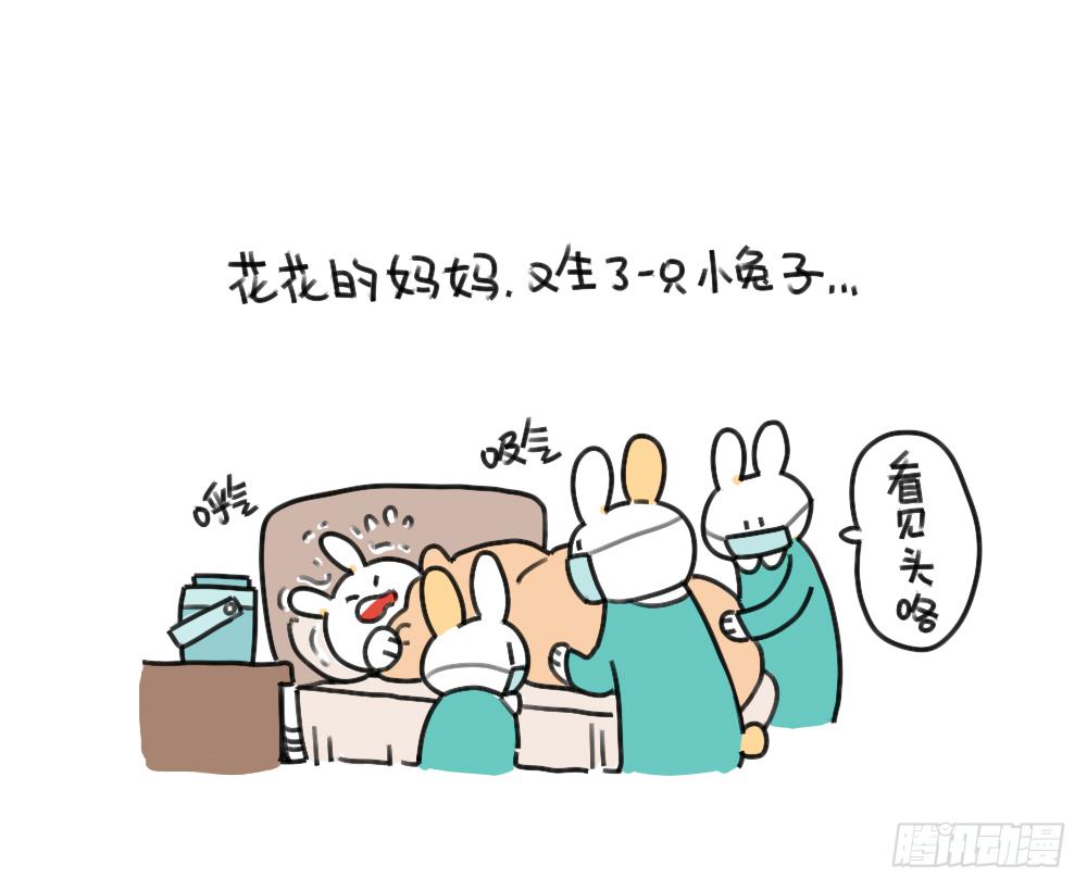 《破耳兔poruby》45、比小兔子更可爱的，是小小兔 第1页