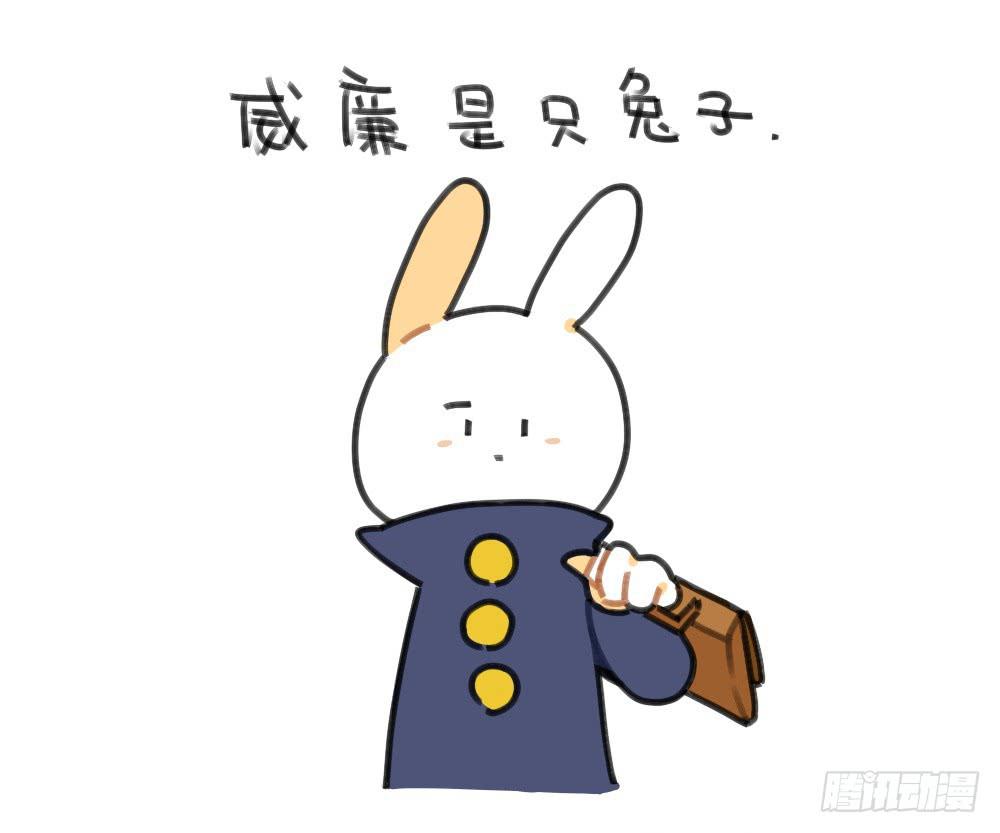 《破耳兔poruby》49、破耳兔想变得很酷[酷]！ 第1页