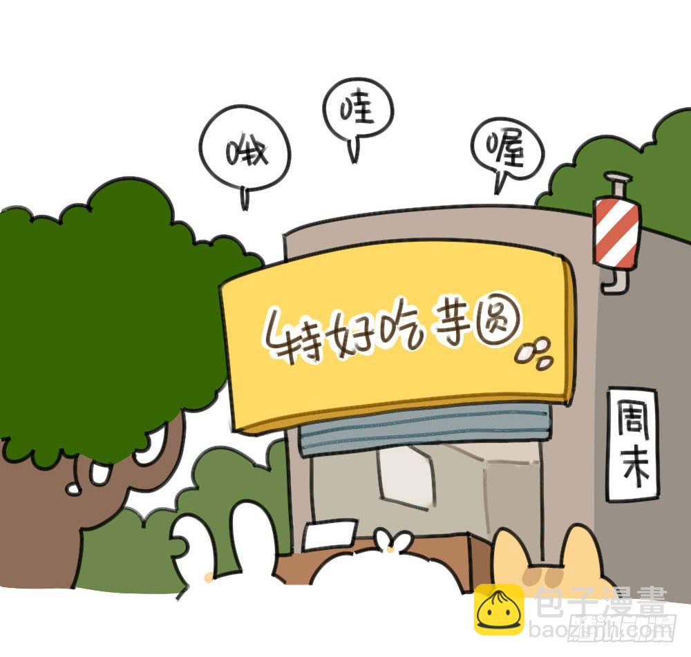 《破耳兔poruby》50、芋圆什么的，对于一只很酷的 第5页