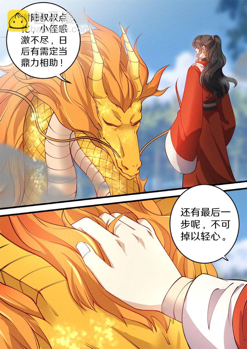 《飞升从养个仙子开始》030 鱼跃龙门升南天 第12页