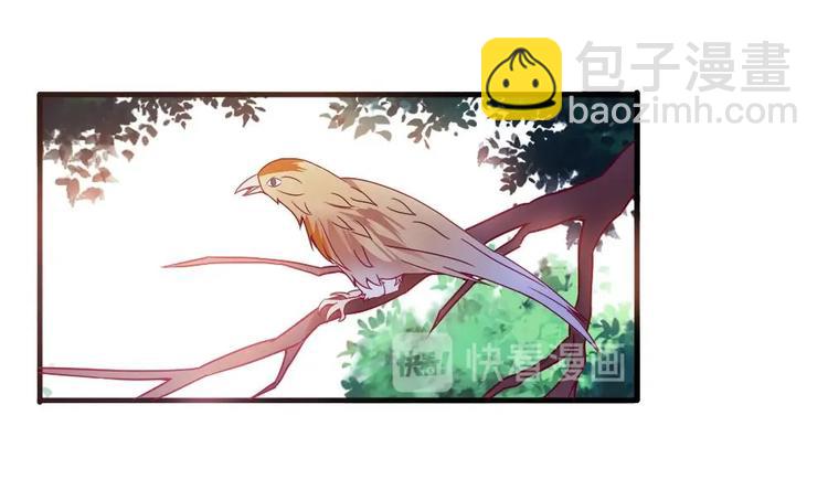 《绝代娇宠俏毒妃》第3话 你是玥王 第10页
