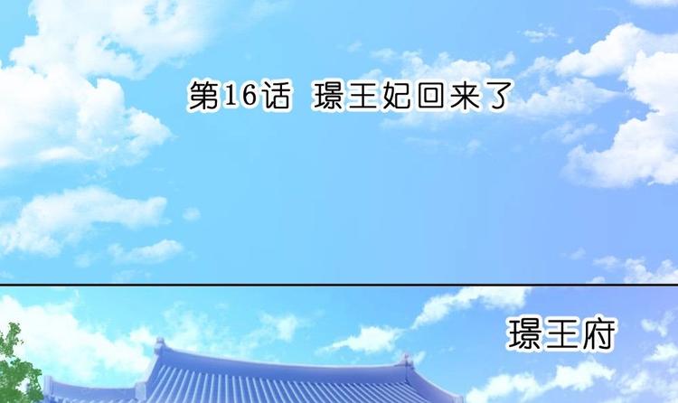 《绝代娇宠俏毒妃》第16话 璟王妃回来了 第3页