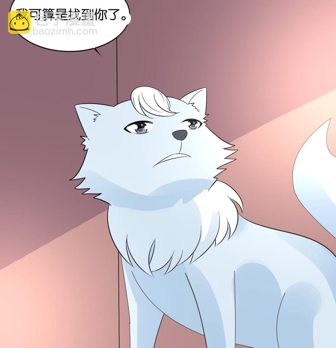 《绝代娇宠俏毒妃》第73话 永远在一起 第35页