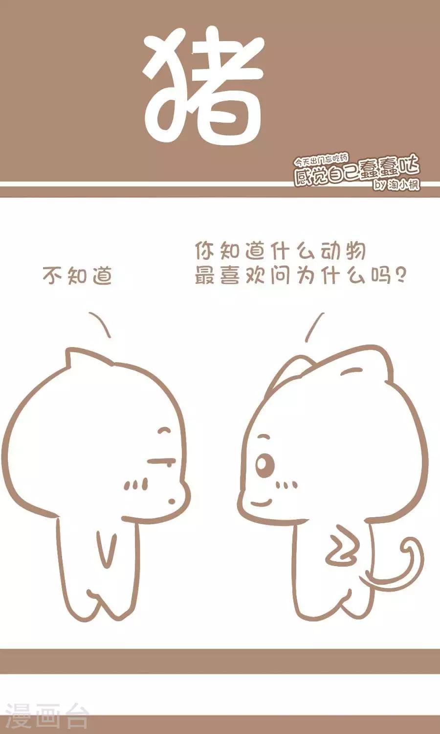 《感觉自己蠢蠢哒》第72话猪 第1页