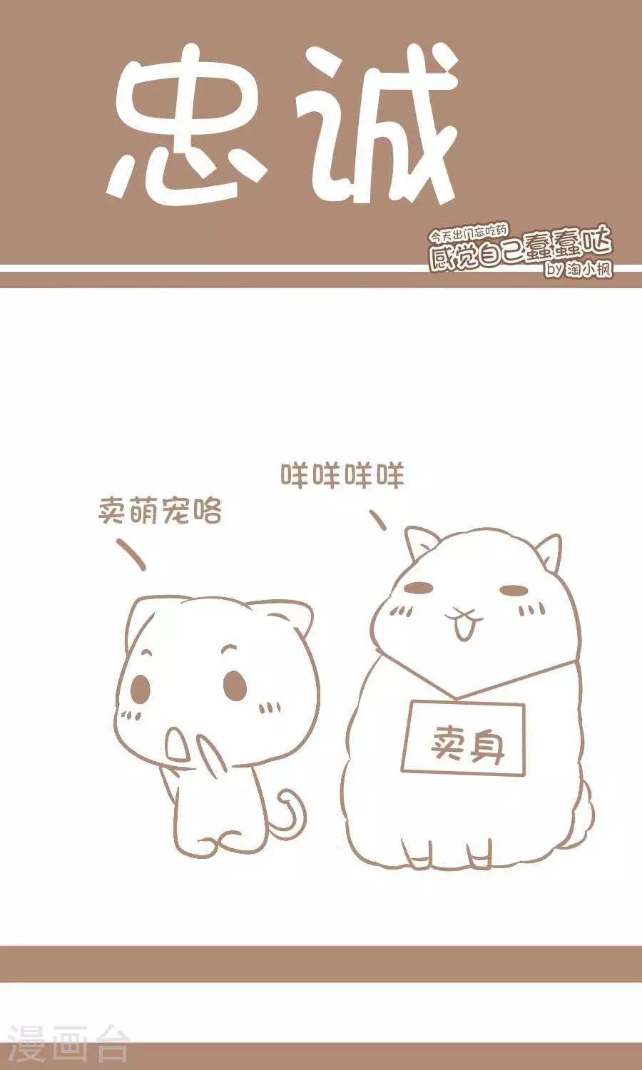 《感觉自己蠢蠢哒》第71话忠诚 第1页