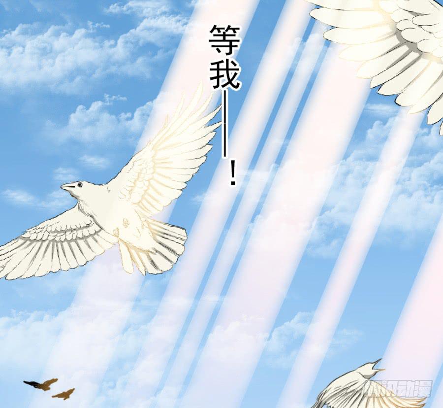 《双妃传》第31话·你眼里还有我这个母后吗 第11页