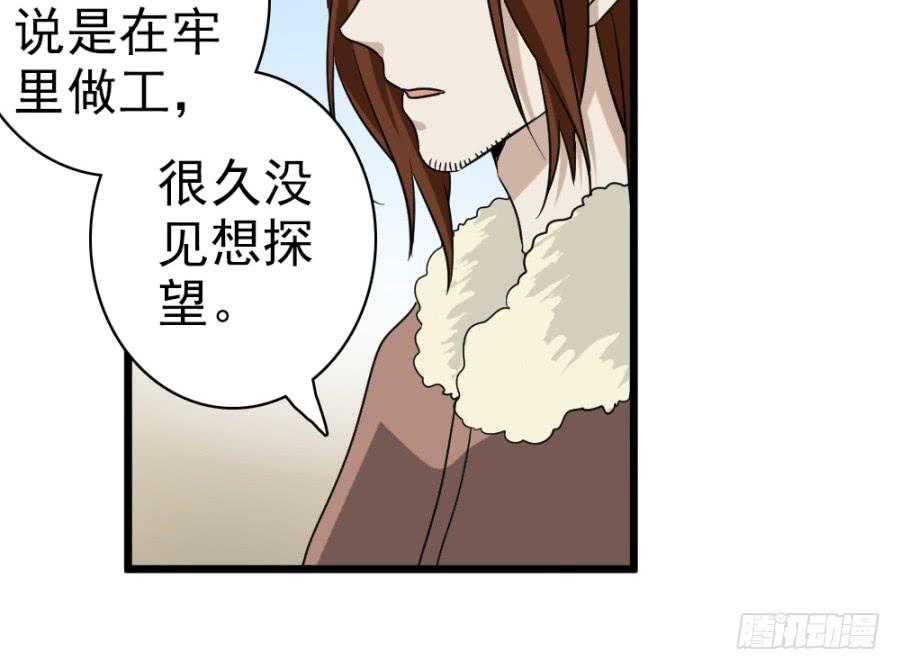 《双妃传》第38话·独闯虎穴 第29页