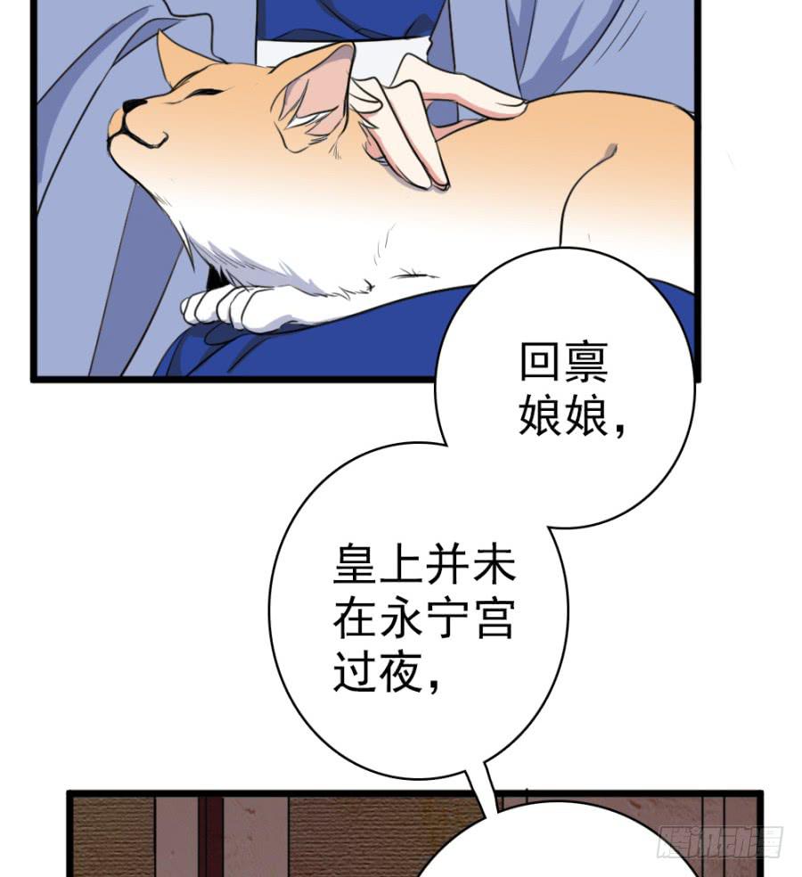 《双妃传》第48话·洞房 第39页