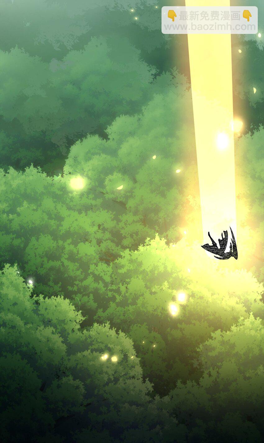 《飞升失败，只好做猎魔人了》003 做个猎魔人吧 第25页
