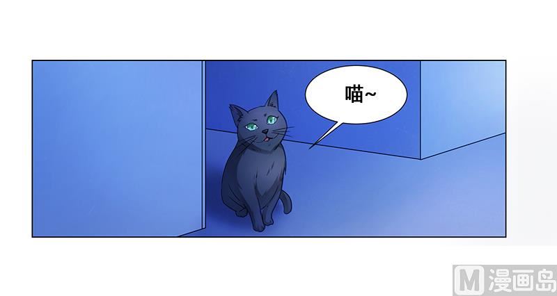 《腹黑霸少别乱来》第64话 失踪 第8页