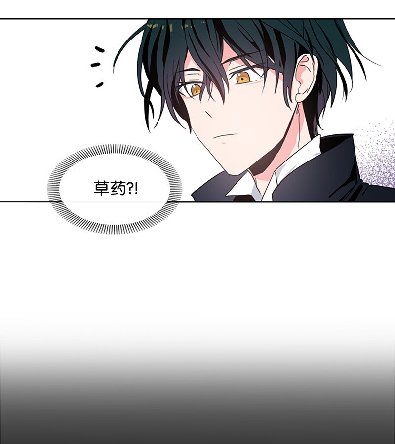 《无法实现的魔女的愿望》1 偶遇白发女 第40页