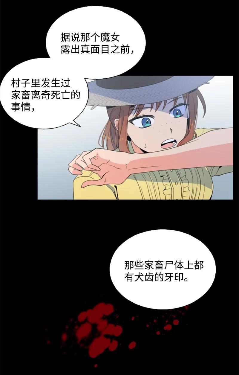 《无法实现的魔女的愿望》17 初见真容 第11页