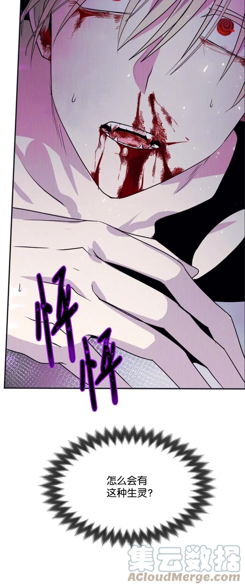 《无法实现的魔女的愿望》26 来龙去脉 第25页