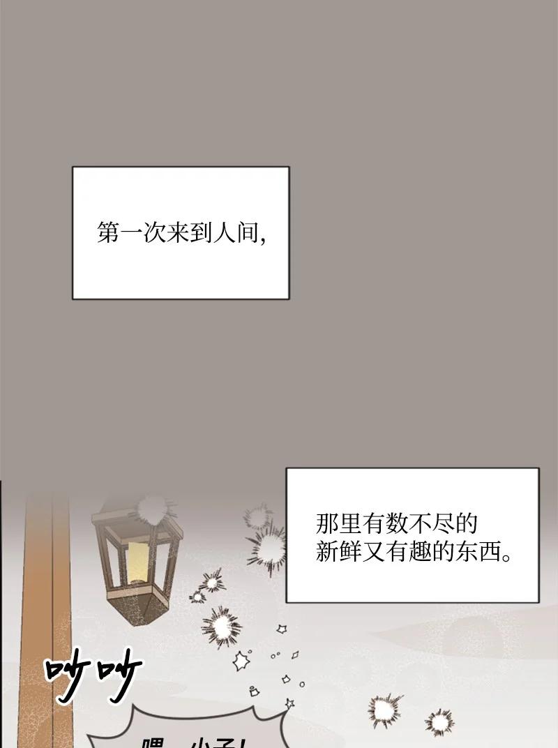 《无法实现的魔女的愿望》25 前生往事 第11页