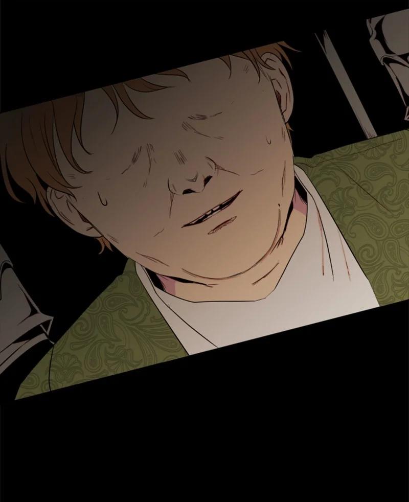 《无法实现的魔女的愿望》25 前生往事 第27页