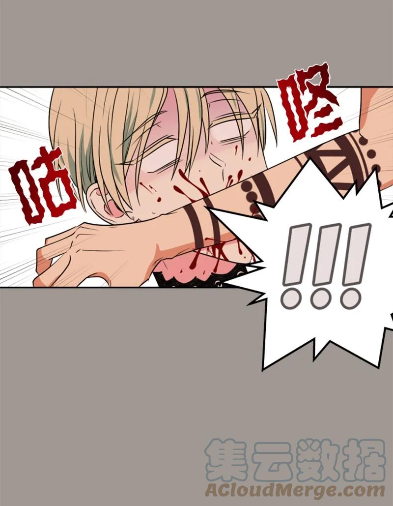 《无法实现的魔女的愿望》25 前生往事 第34页
