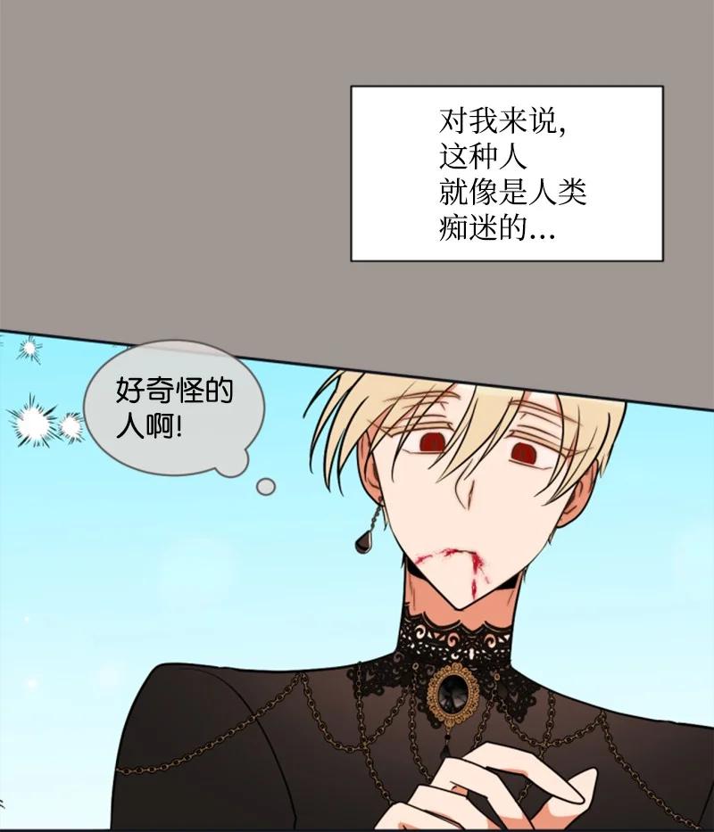 《无法实现的魔女的愿望》25 前生往事 第36页