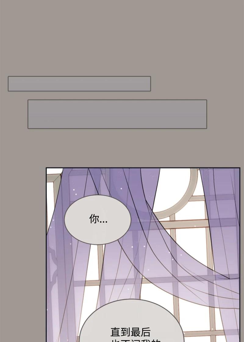 《无法实现的魔女的愿望》25 前生往事 第41页