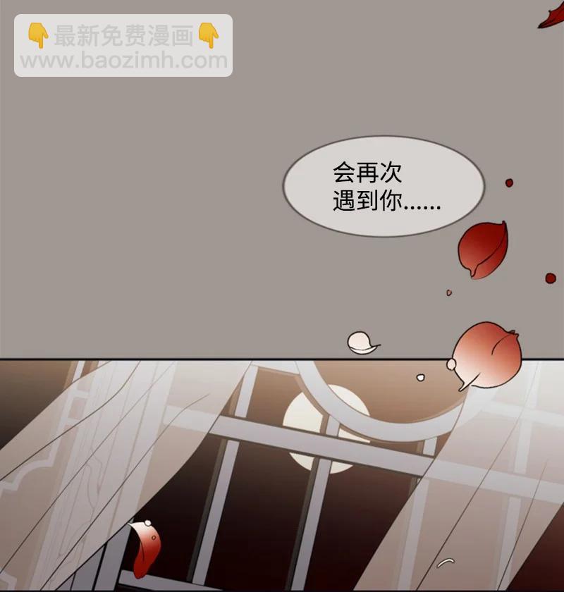 《无法实现的魔女的愿望》25 前生往事 第47页