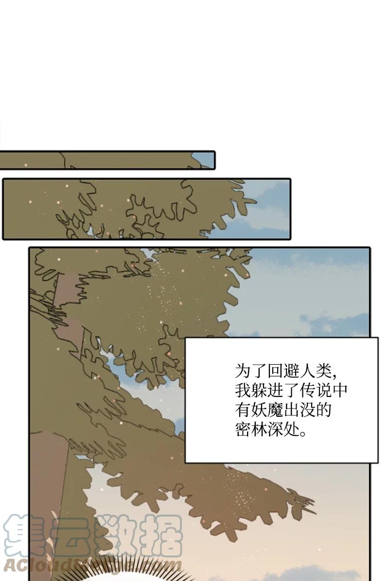 《无法实现的魔女的愿望》47 童言暖心 第19页