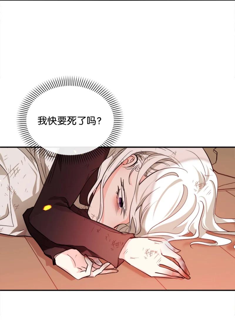 《无法实现的魔女的愿望》50 愿望成真 第14页