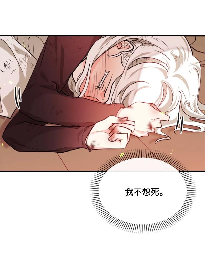 《无法实现的魔女的愿望》50 愿望成真 第15页