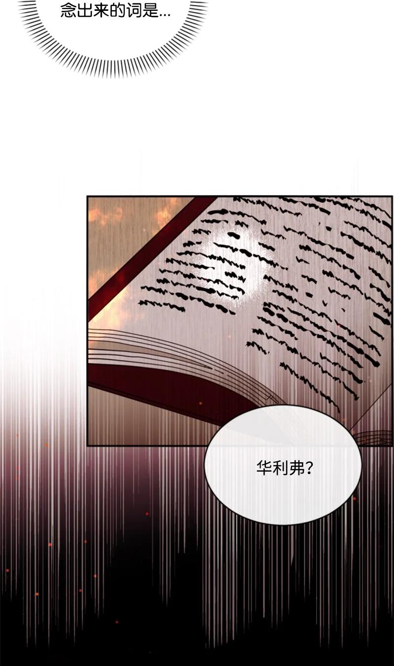 《无法实现的魔女的愿望》50 愿望成真 第29页