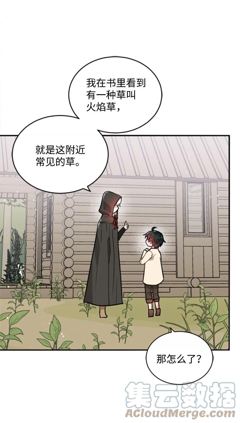 《无法实现的魔女的愿望》48 现实残酷 第43页
