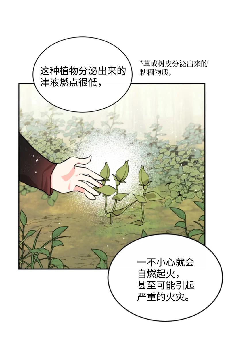 《无法实现的魔女的愿望》48 现实残酷 第44页