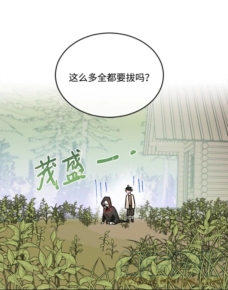 《无法实现的魔女的愿望》48 现实残酷 第46页