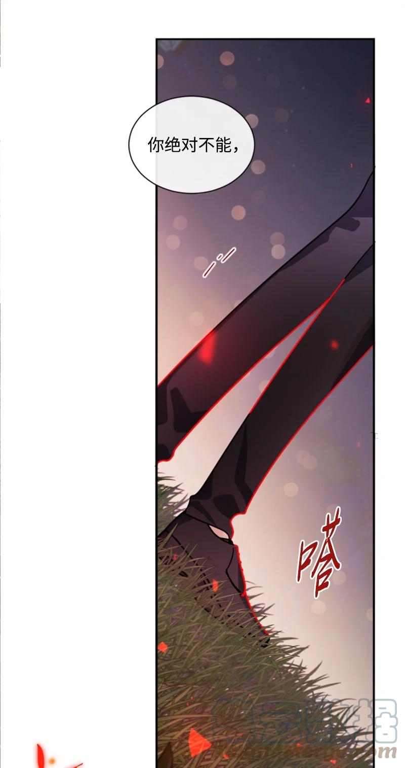 《无法实现的魔女的愿望》54 抉择在即 第46页
