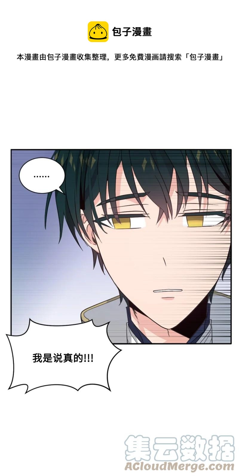 《无法实现的魔女的愿望》59 再见索菲 第13页