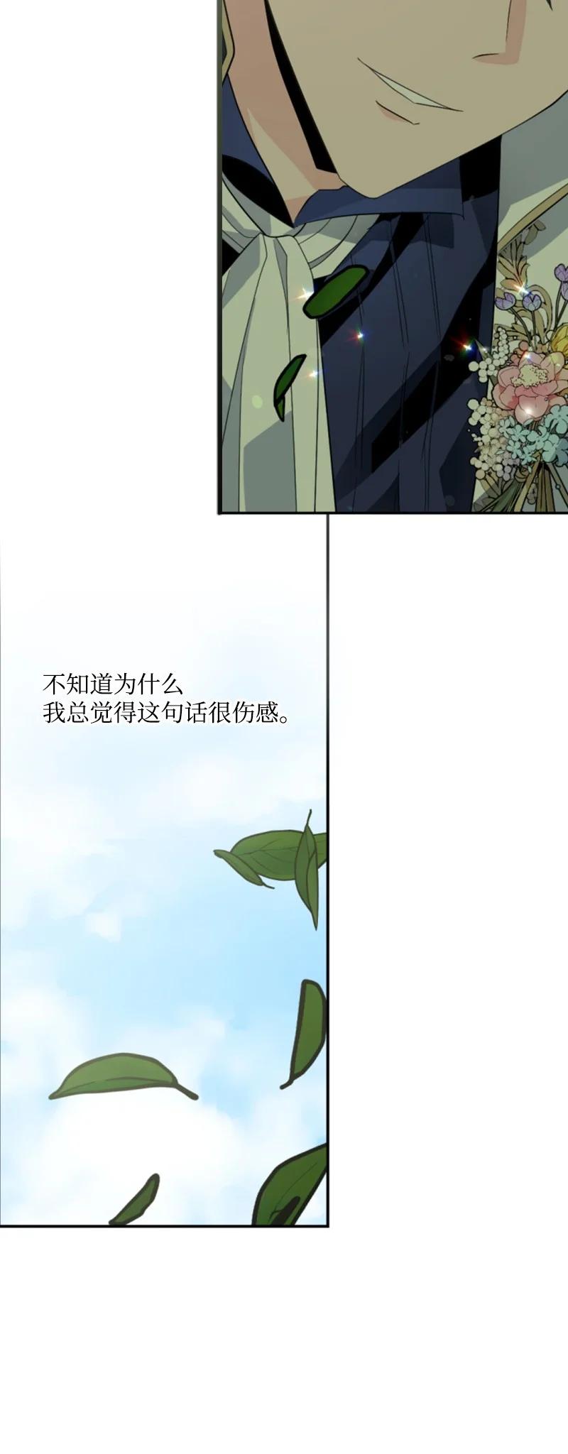《无法实现的魔女的愿望》59 再见索菲 第26页