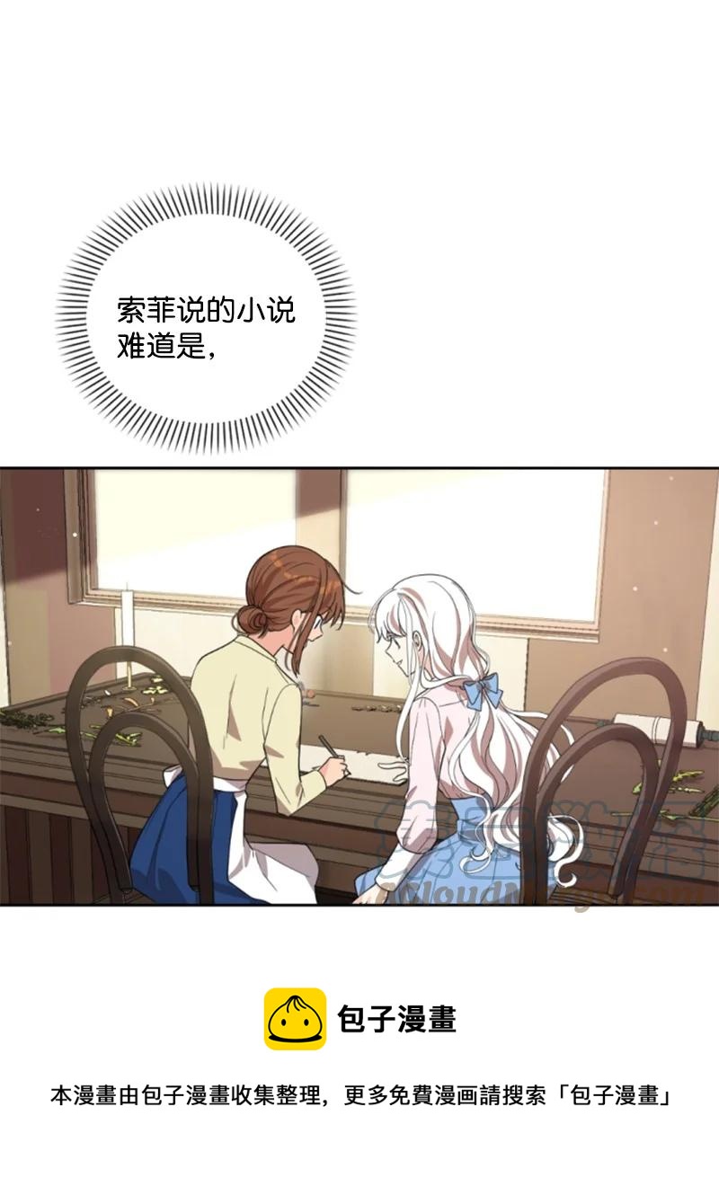 《无法实现的魔女的愿望》60 小说之谜 第13页