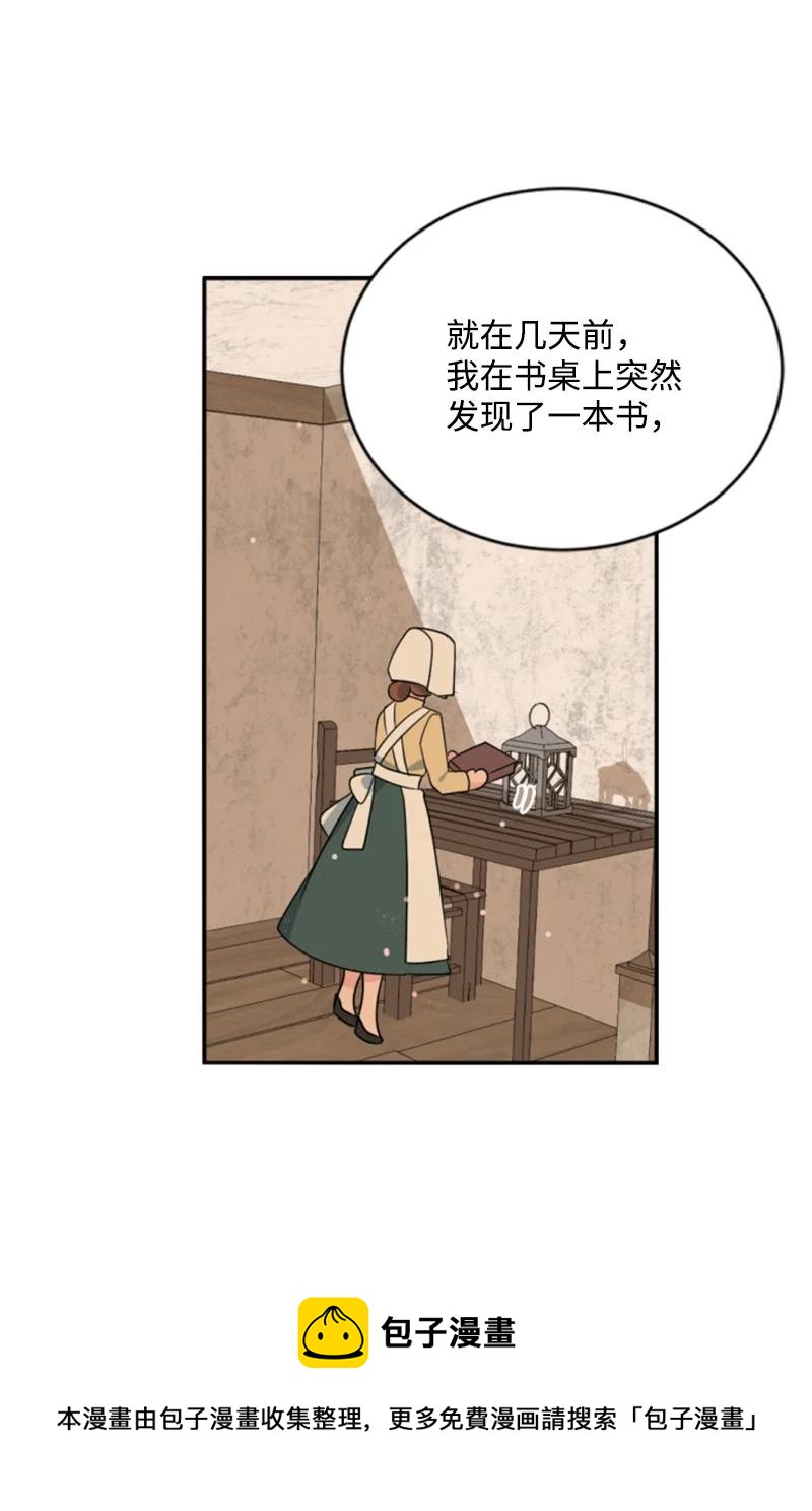 《无法实现的魔女的愿望》60 小说之谜 第17页