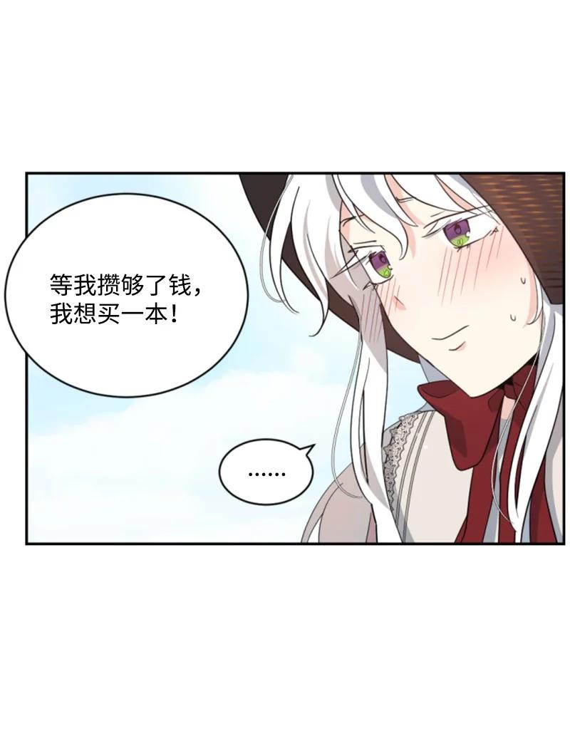 《无法实现的魔女的愿望》60 小说之谜 第26页