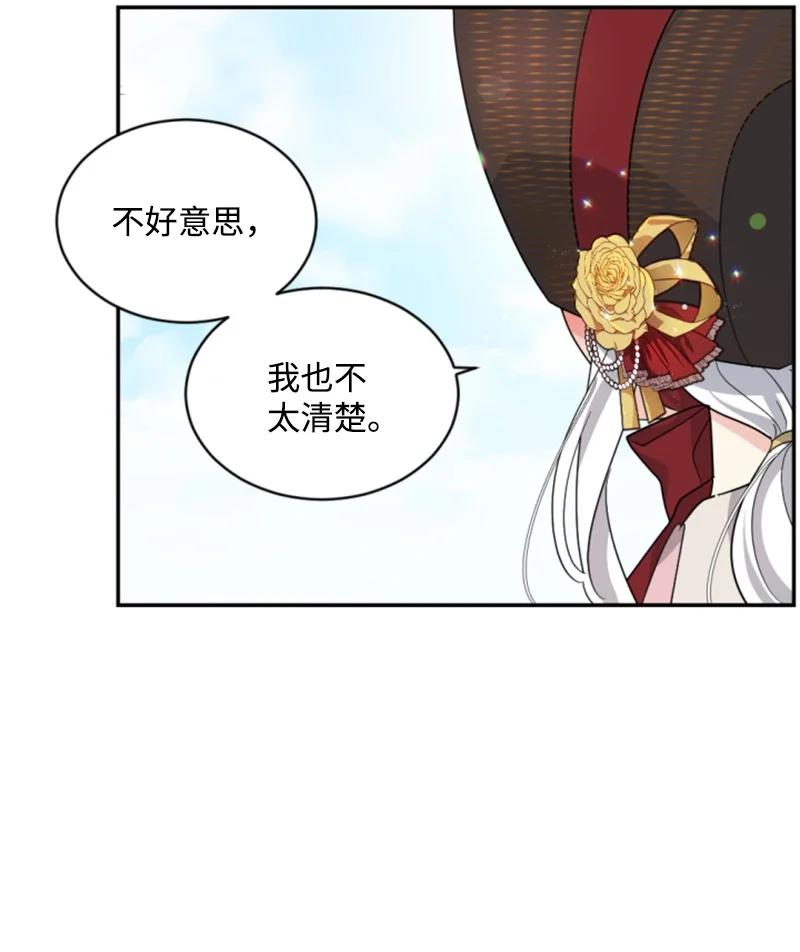 《无法实现的魔女的愿望》60 小说之谜 第27页