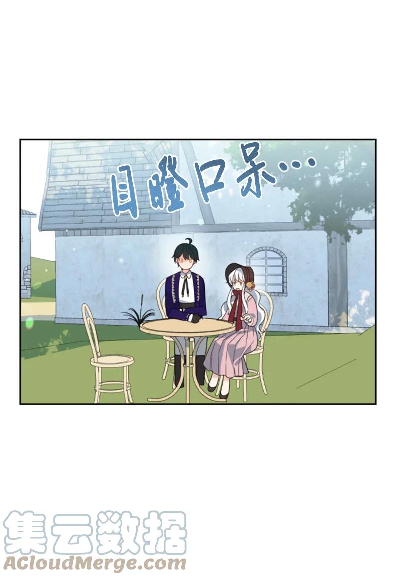 《无法实现的魔女的愿望》60 小说之谜 第31页