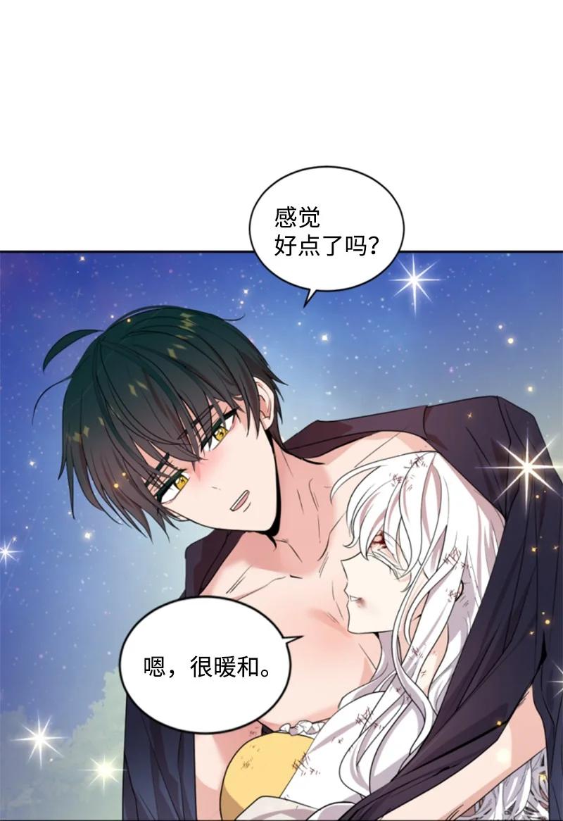 《无法实现的魔女的愿望》66 凯特尔的过往 第11页
