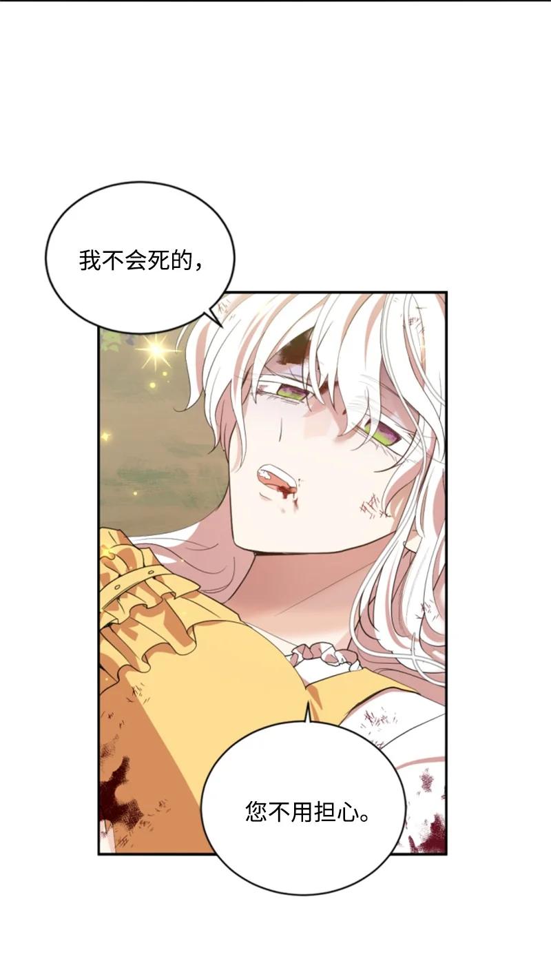 《无法实现的魔女的愿望》66 凯特尔的过往 第3页
