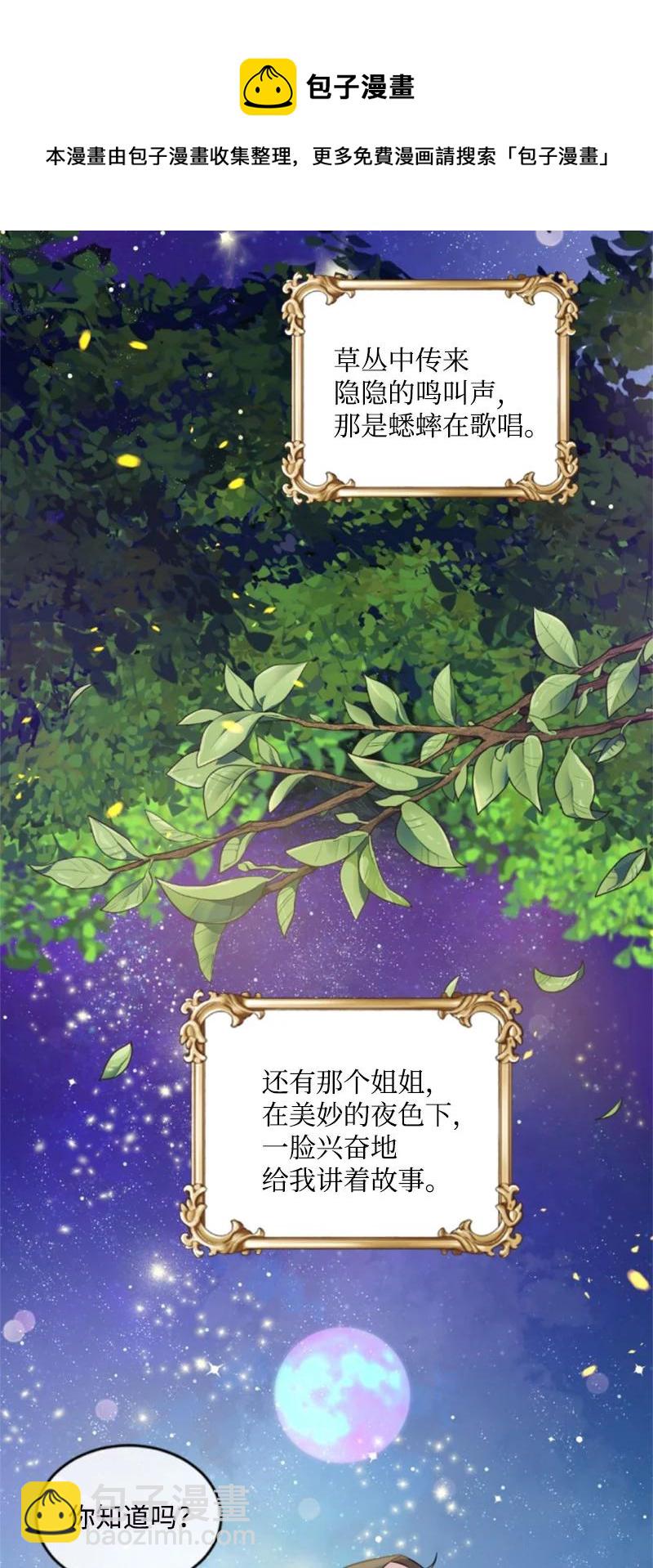 《无法实现的魔女的愿望》66 凯特尔的过往 第45页