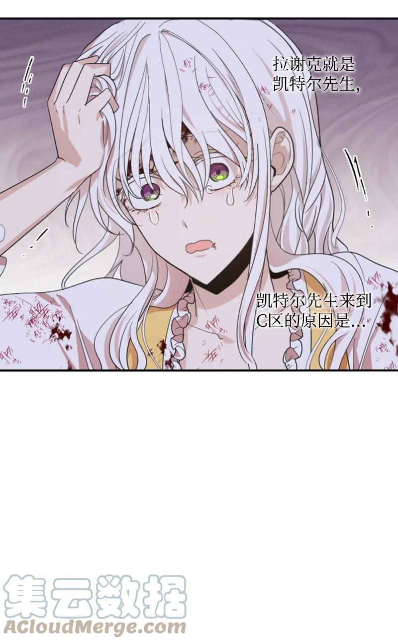 《无法实现的魔女的愿望》67 道出原委 第19页