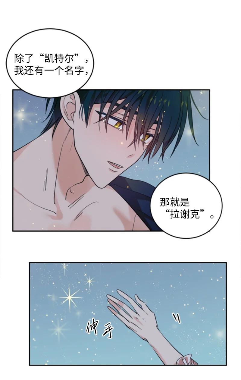 《无法实现的魔女的愿望》67 道出原委 第2页