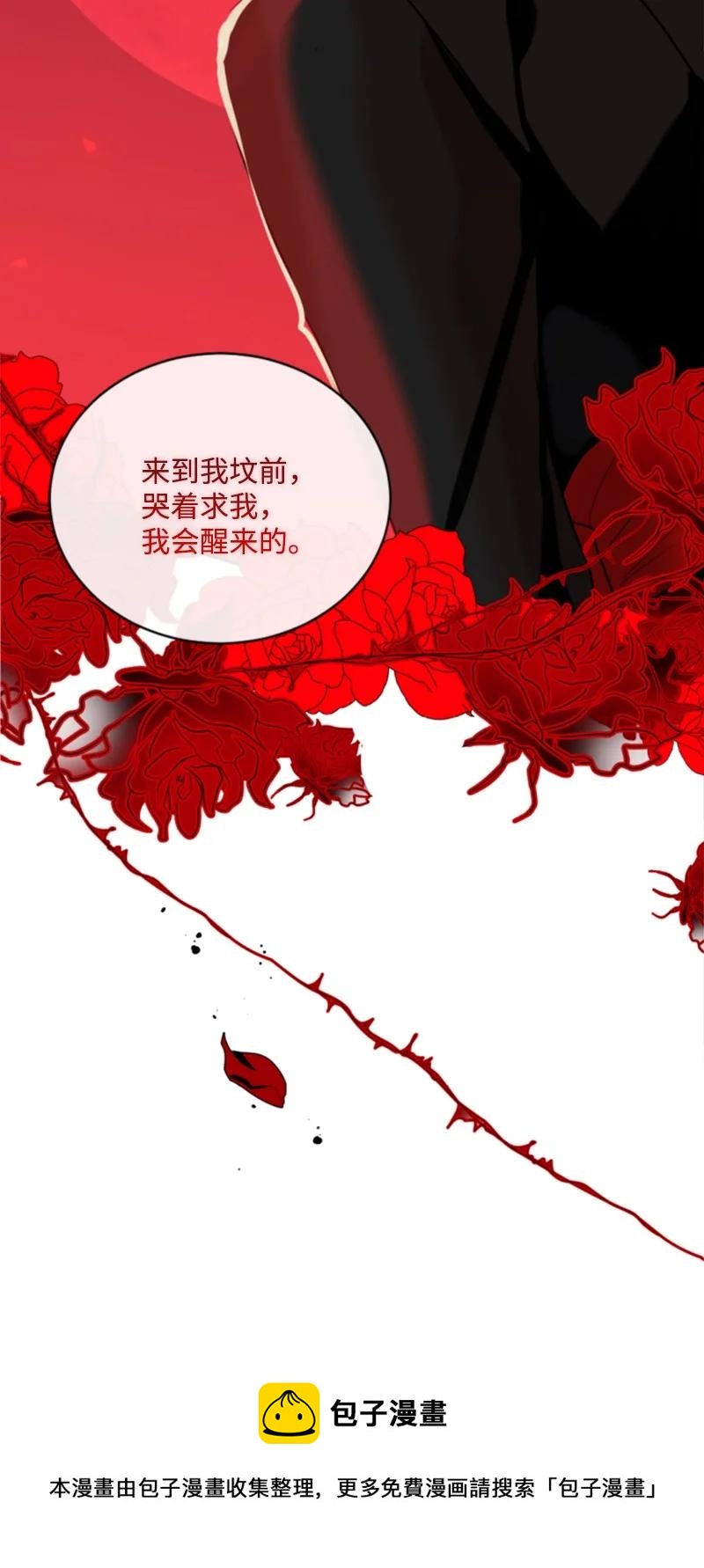 《无法实现的魔女的愿望》64 诺亚的预言 第45页
